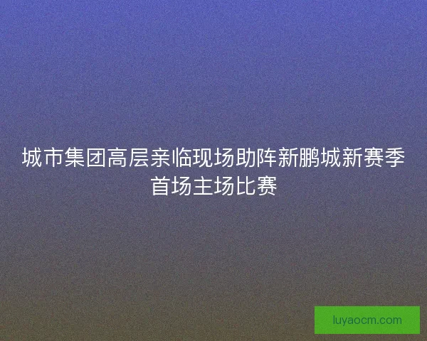 城市集团高层亲临现场助阵新鹏城新赛季首场主场比赛
